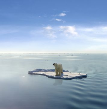 Küresel ısınmayla beraber gelen tehdit: Permafrost